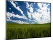 Photographic Print