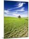Premium Photographic Print