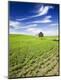 Photographic Print