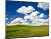 Photographic Print