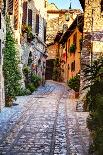 Vineyards in Chianti Surround Santa Maria Novella Monastery-Terry Eggers-Photographic Print