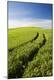 Premium Photographic Print