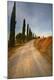 Photographic Print