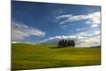 Photographic Print