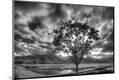 Photographic Print