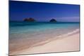 Photographic Print