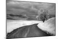 Photographic Print