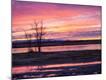 Photographic Print