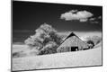 Photographic Print