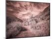 Photographic Print
