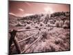 Photographic Print