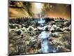 Photographic Print