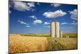 Photographic Print