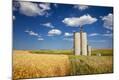 Photographic Print