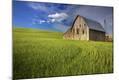 Photographic Print