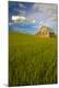 Premium Photographic Print