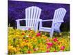 Photographic Print