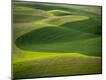 Premium Photographic Print