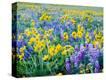 Stretched Canvas Print
