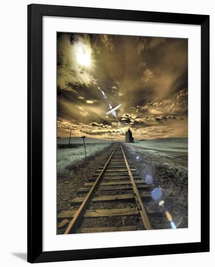 Photographic Print, , large