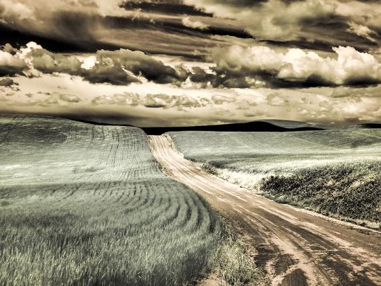 Photographic Print, , large
