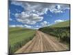 Photographic Print