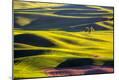 Premium Photographic Print