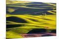 Premium Photographic Print