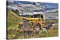 Stretched Canvas Print