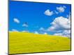 Premium Photographic Print