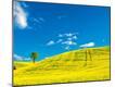 Photographic Print