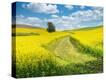 Stretched Canvas Print