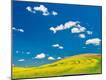 Photographic Print