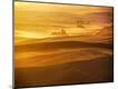 Premium Photographic Print