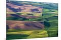 Premium Photographic Print