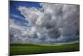 Premium Photographic Print
