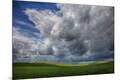 Premium Photographic Print