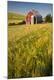 Premium Photographic Print