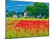 Photographic Print