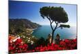 Photographic Print