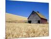 Photographic Print