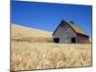 Photographic Print