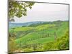 Premium Photographic Print
