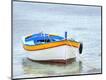 Premium Photographic Print