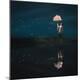 Premium Photographic Print