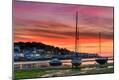 Photographic Print