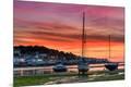 Photographic Print