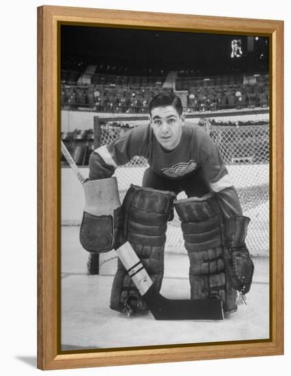 Terry Sawchuck, Star Goalie for the Detroit Red Wings, Posing in Front of Goal at Ice Arena-Alfred Eisenstaedt-Framed Premier Image Canvas