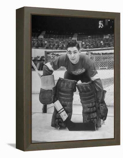 Terry Sawchuck, Star Goalie for the Detroit Red Wings, Posing in Front of Goal at Ice Arena-Alfred Eisenstaedt-Framed Premier Image Canvas