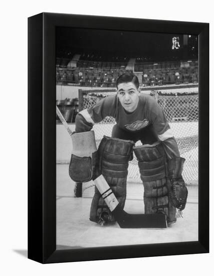 Terry Sawchuck, Star Goalie for the Detroit Red Wings, Posing in Front of Goal at Ice Arena-Alfred Eisenstaedt-Framed Premier Image Canvas